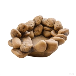 ExoTerra FROG pond vandskål S 15x12,5x5,5cm - 75 ml